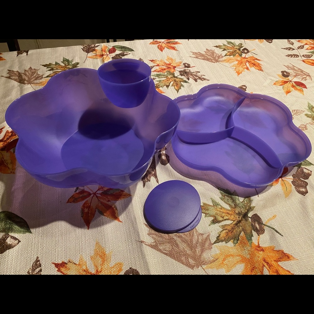 Tupperware Chip n dip berry set